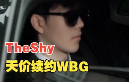 最新：TheShy年薪TOP10的简单介绍|HB电子体育官方网站
